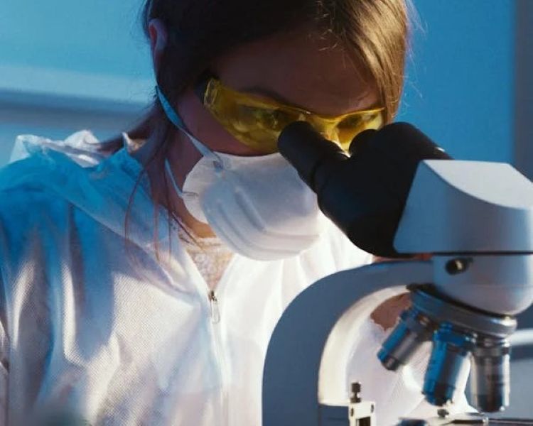 實驗室人員用顯微鏡觀看細胞代表台灣細胞再生治療面臨的挑戰。